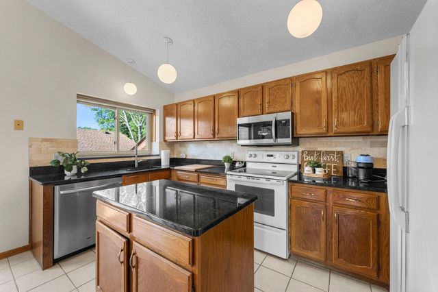 1013 Rushmore Drive, Burnsville, MN 55306