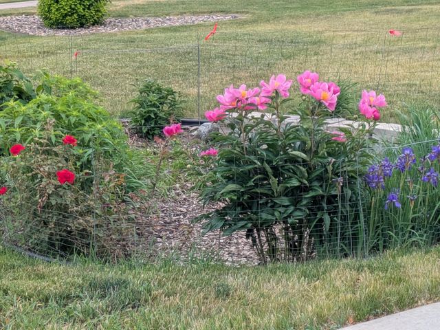 1013 Rushmore Drive, Burnsville, MN 55306