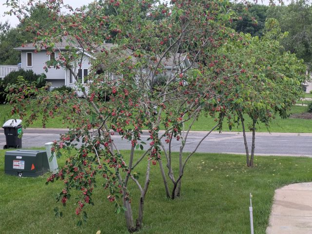 1013 Rushmore Drive, Burnsville, MN 55306