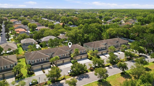 13121 CANOPY CREEK DRIVE, Tampa, FL 33625
