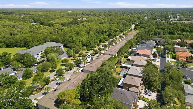 13121 CANOPY CREEK DRIVE, Tampa, FL 33625