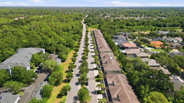 13121 CANOPY CREEK DRIVE, Tampa, FL 33625