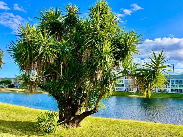 1011 Harwood C 1011, Deerfield Beach, FL 33442