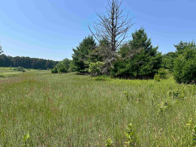 Parcel 3 Bright Road, Kasson Twp, MI 49664