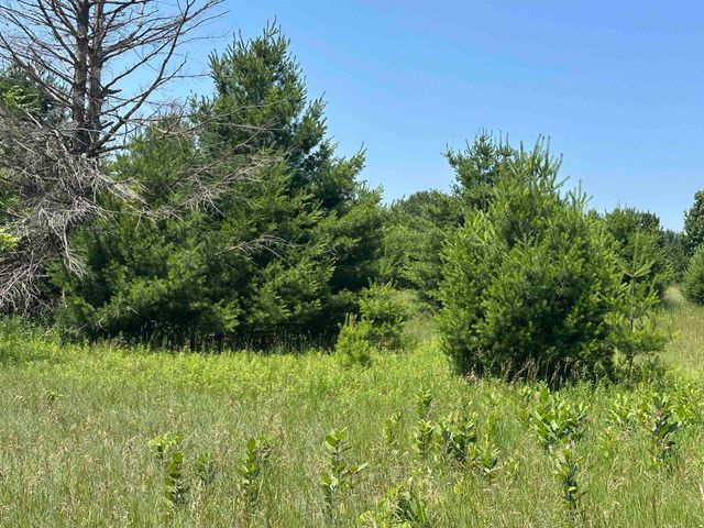 Parcel 3 Bright Road, Kasson Twp, MI 49664