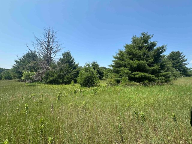 Parcel 3 Bright Road, Kasson Twp, MI 49664