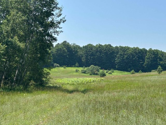 Parcel 3 Bright Road, Kasson Twp, MI 49664