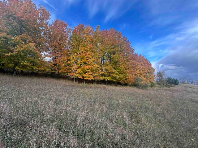 Parcel 3 Bright Road, Kasson Twp, MI 49664