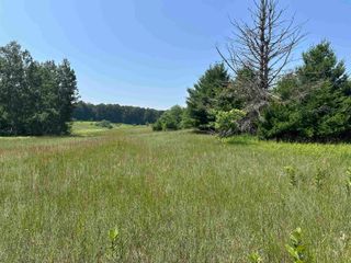 Parcel 3 Bright Road, Kasson Twp, MI 49664