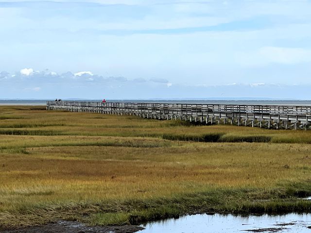 194 Route 6A, Yarmouth Port, MA 02675
