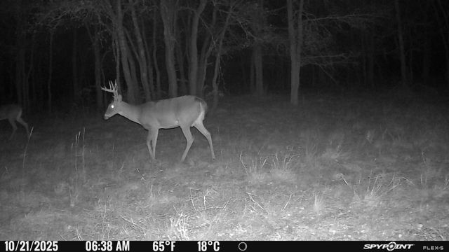 4587 County Road 1134, Leonard, TX 75452