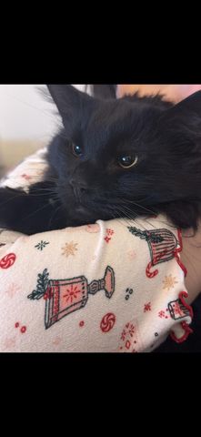 844 Ridgewood Drive 1-2-3-4-5-6-7, Berea, KY 40403