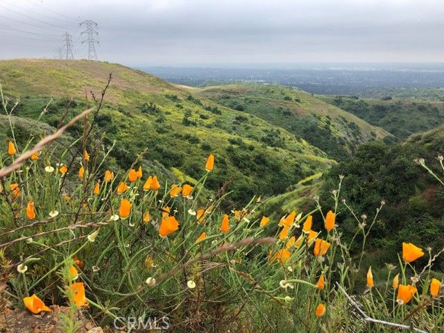 6769 Hillside, Whittier, CA 90602