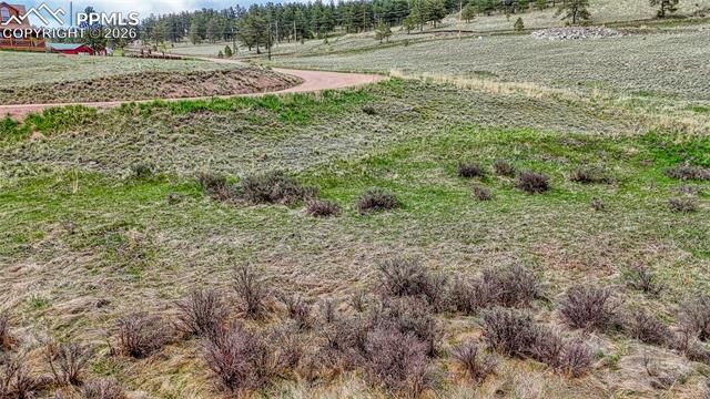 315 Empire Road, Florissant, CO 80816
