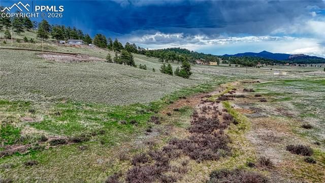315 Empire Road, Florissant, CO 80816