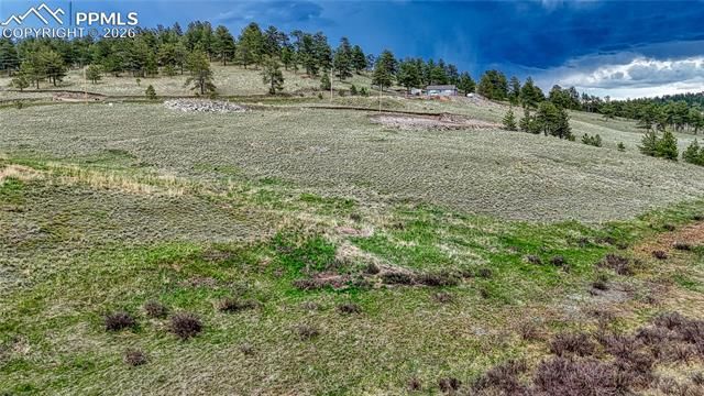 315 Empire Road, Florissant, CO 80816
