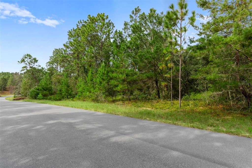 4099 W MALALUKA CIRCLE, Citrus Springs, FL 34433