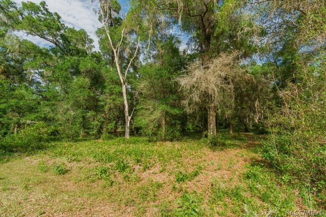 12205 N Elkcam Boulevard, Dunnellon, FL 34433
