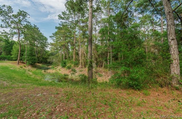12205 N Elkcam Boulevard, Dunnellon, FL 34433