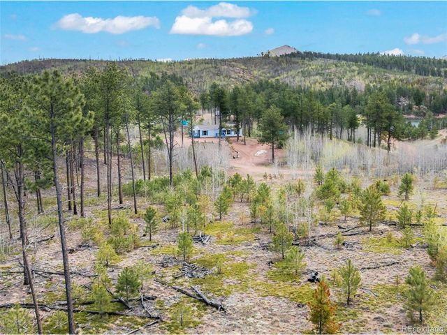 100 Wolverine Dr, Florissant, CO 80816