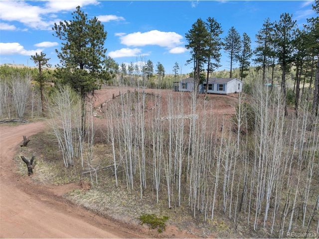 100 Wolverine Dr, Florissant, CO 80816