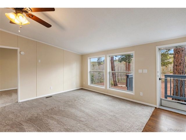 100 Wolverine Dr, Florissant, CO 80816