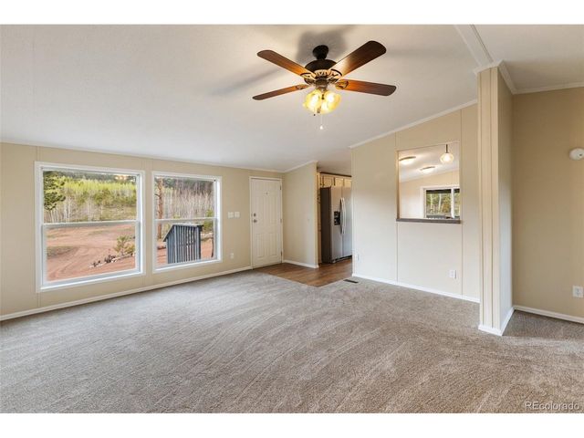 100 Wolverine Dr, Florissant, CO 80816