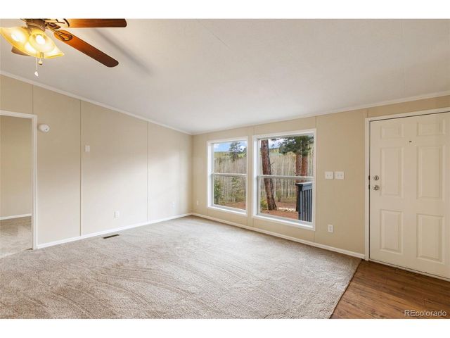 100 Wolverine Dr, Florissant, CO 80816