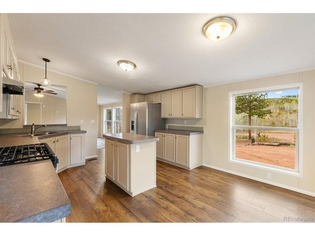 100 Wolverine Dr, Florissant, CO 80816