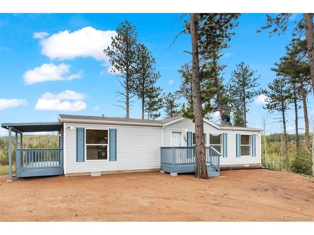 100 Wolverine Dr, Florissant, CO 80816