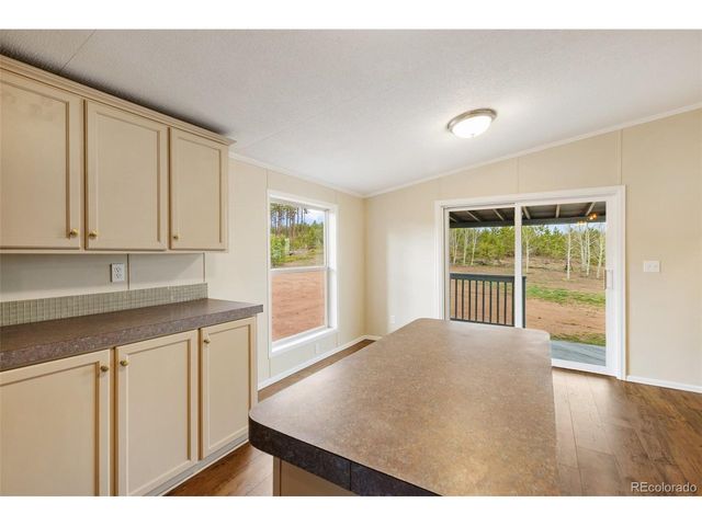 100 Wolverine Dr, Florissant, CO 80816