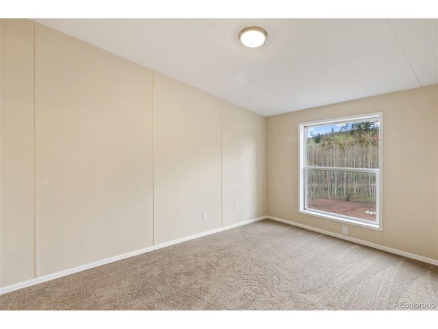 100 Wolverine Dr, Florissant, CO 80816