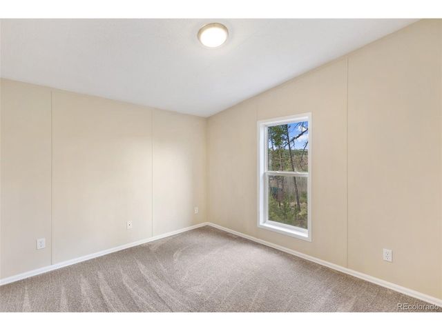 100 Wolverine Dr, Florissant, CO 80816
