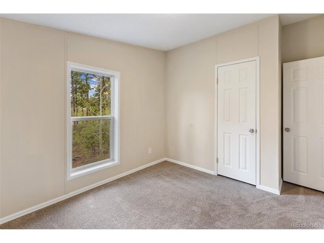 100 Wolverine Dr, Florissant, CO 80816