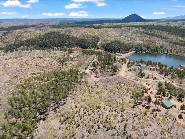 100 Wolverine Dr, Florissant, CO 80816