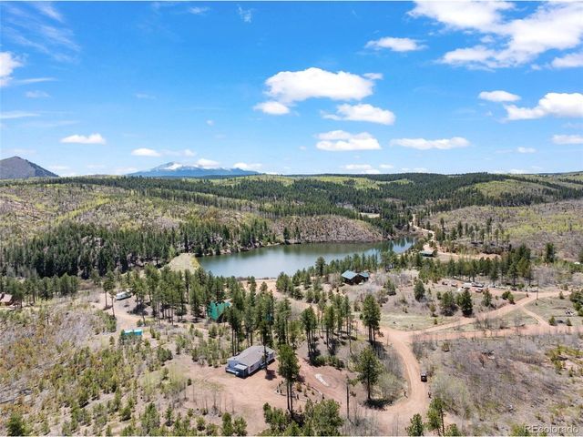 100 Wolverine Dr, Florissant, CO 80816