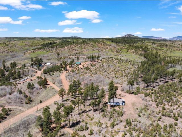100 Wolverine Dr, Florissant, CO 80816