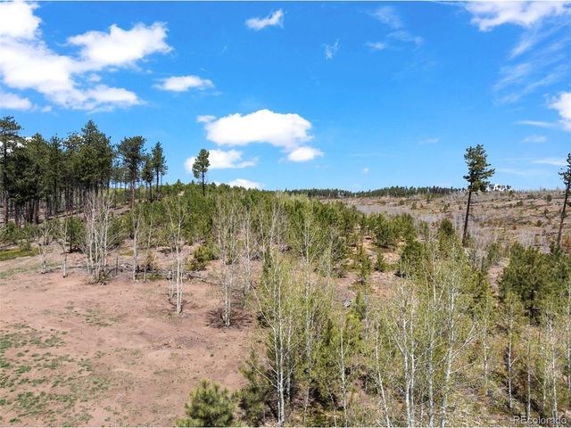 100 Wolverine Dr, Florissant, CO 80816