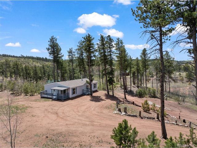 100 Wolverine Dr, Florissant, CO 80816