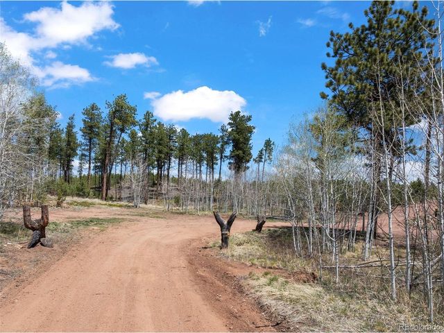 100 Wolverine Dr, Florissant, CO 80816