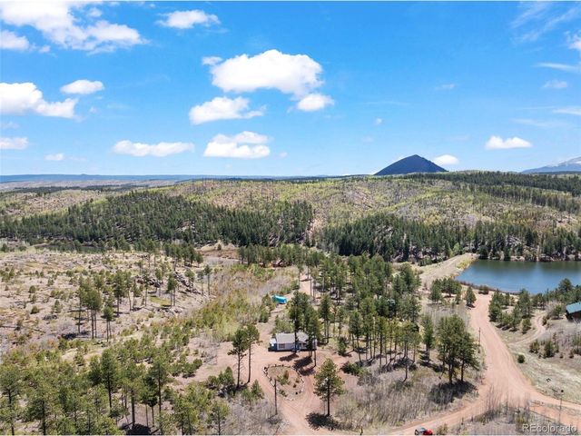 100 Wolverine Dr, Florissant, CO 80816