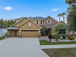 19238 CLIMBING ASTER DRIVE, Tampa, FL 33647