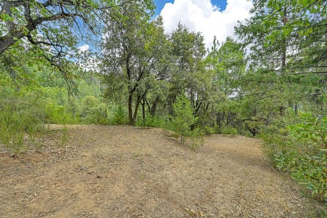 1380 Loka Ln, Greenwood, CA 95635