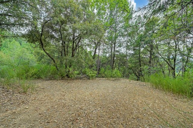 1380 Loka Ln, Greenwood, CA 95635