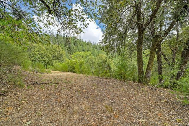 1380 Loka Ln, Greenwood, CA 95635