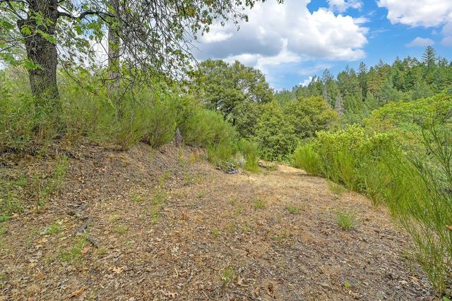 1380 Loka Ln, Greenwood, CA 95635
