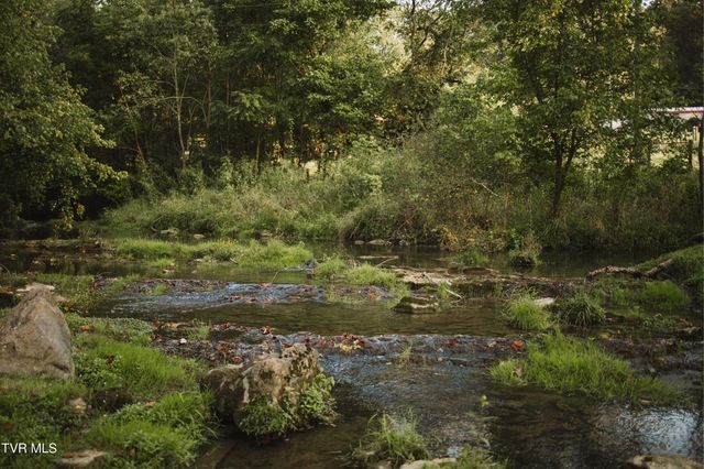 21405 Parks Mill Road, Abingdon, VA 24211