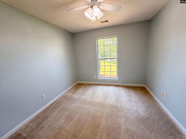 3 Summer Branch Court, Irmo, SC 29063