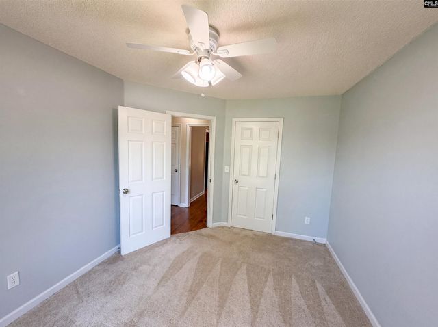 3 Summer Branch Court, Irmo, SC 29063