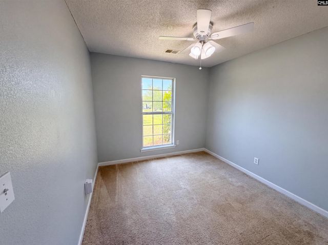 3 Summer Branch Court, Irmo, SC 29063
